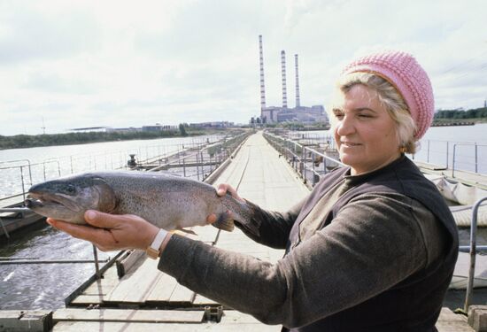 River Volga Fishery