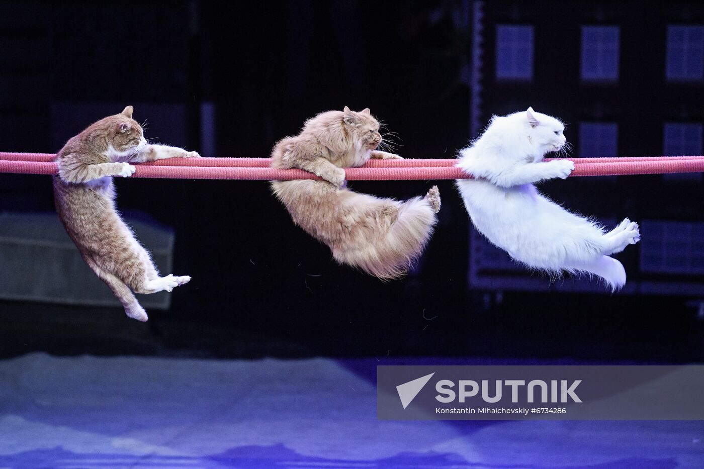 Russia Circus