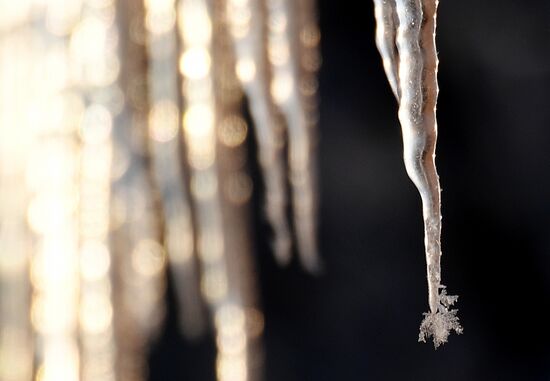 Icicles