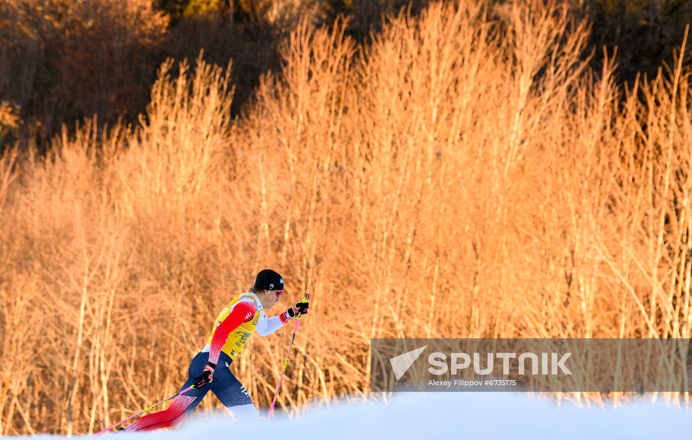 Germany Cross Country Skiing Tour de Ski Men