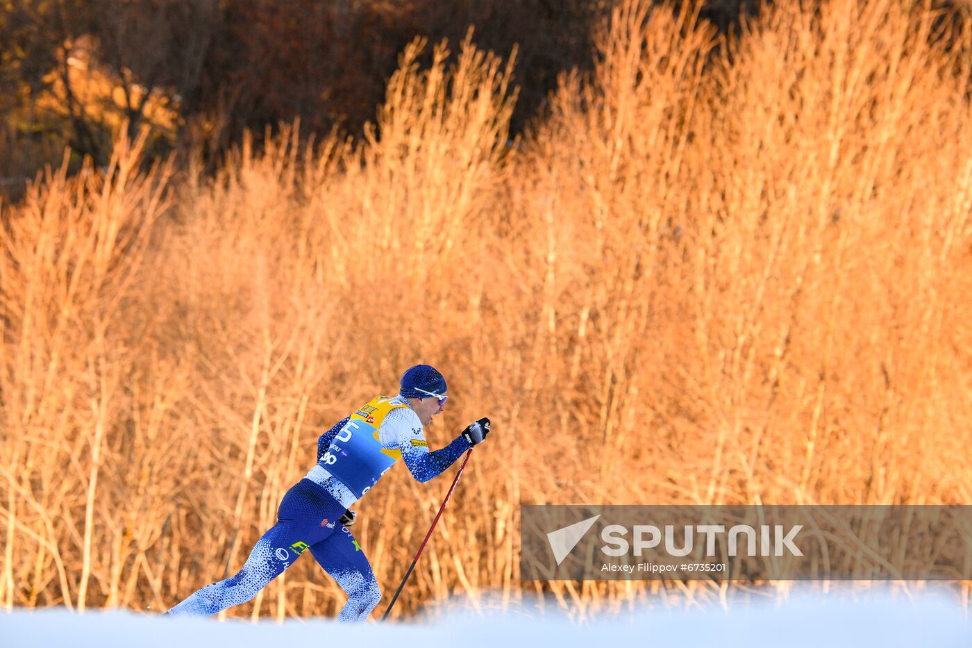 Germany Cross Country Skiing Tour de Ski Men