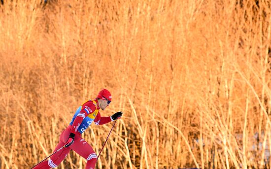 Germany Cross Country Skiing Tour de Ski Men