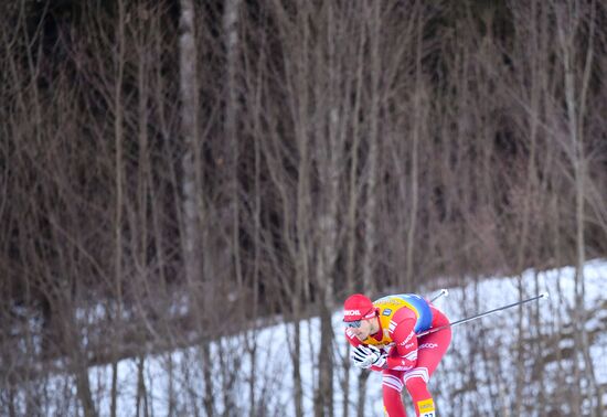 Germany Cross Country Skiing Tour de Ski Men