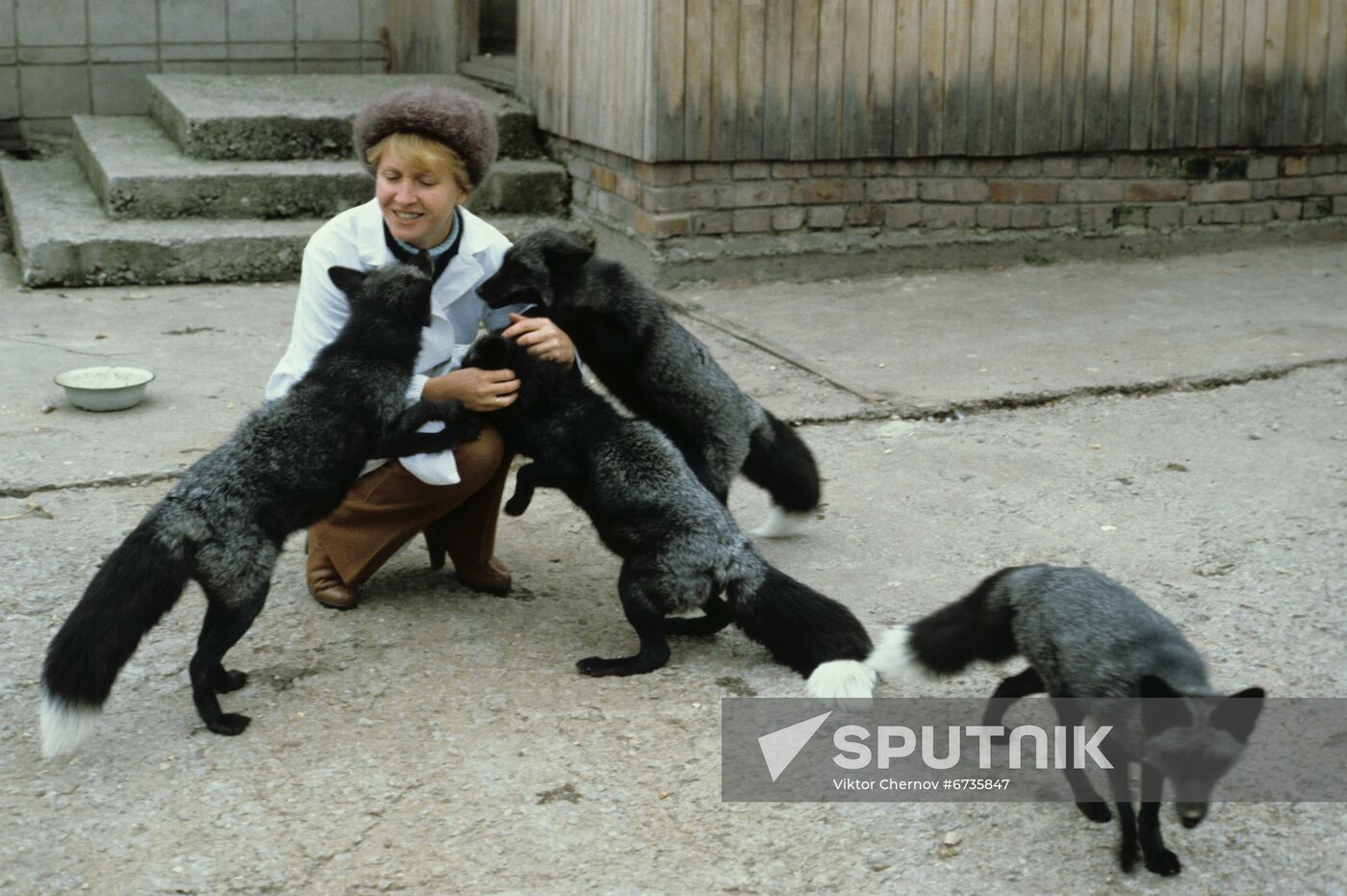 Institute of Cytology and Genetics, Siberian Branch of Soviet Academy of Sciences