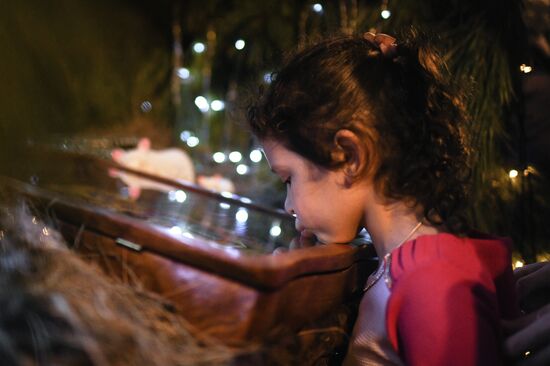 Russia Regions Orthodox Christmas