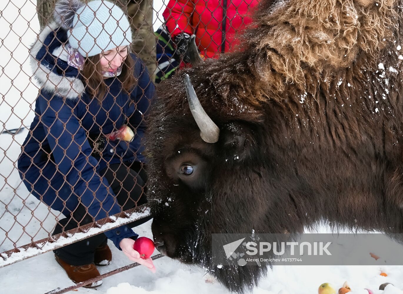 Russia Zoo