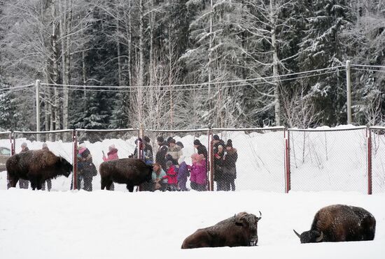 Russia Zoo