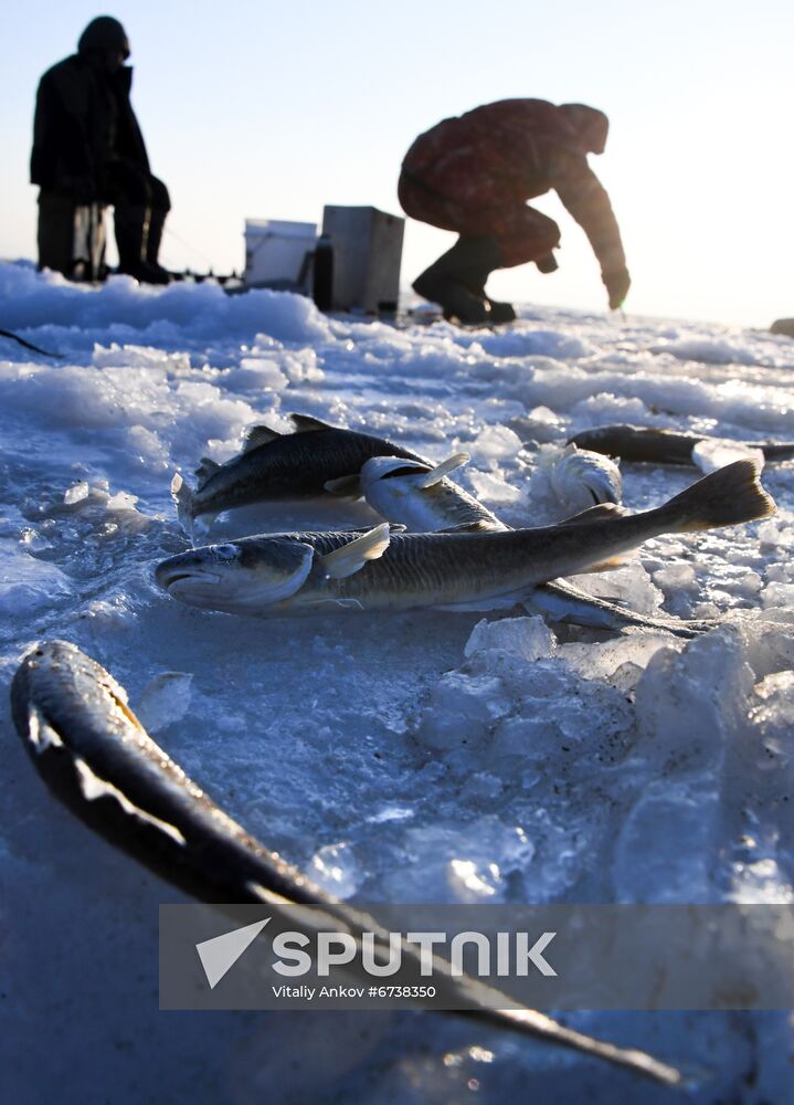 Russia Daily Life