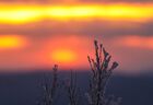 The sun rises for the first time since early December marking the end of a polar night in Murmansk, Russia. Location: Russia, Murmansk. Author: Pavel Lvov. Russia Tourism