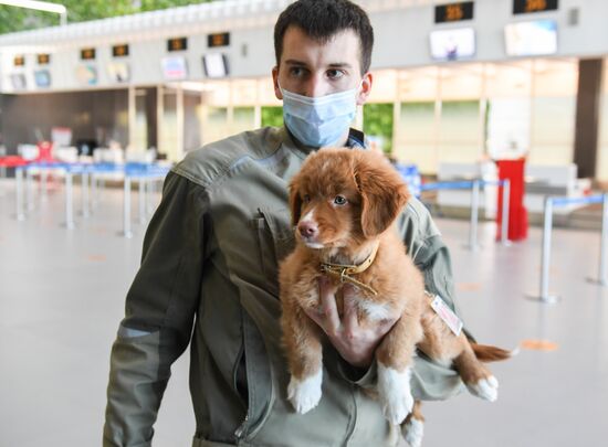 Russia Daily Life