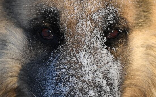 Russia Weather  Russia Weather