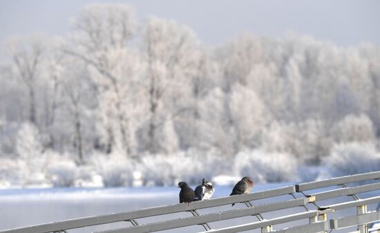 Russia Weather