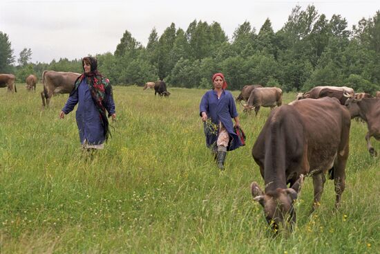 Refugees from Uzbekistan in Smolensk Region