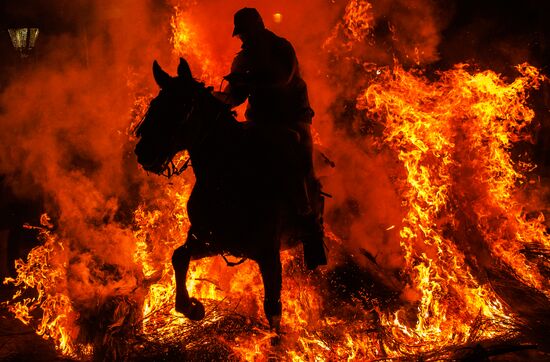 Spain Religion St Anthony Celebration