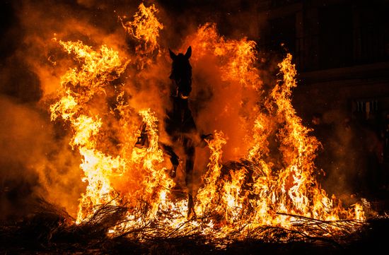 Spain Religion St Anthony Celebration