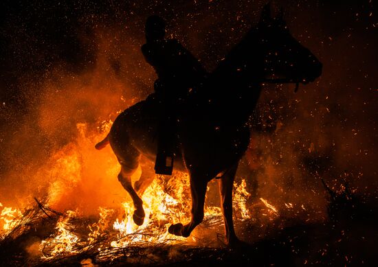 Spain Religion St Anthony Celebration