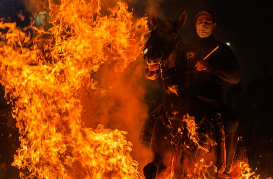 Spain Religion St Anthony Celebration