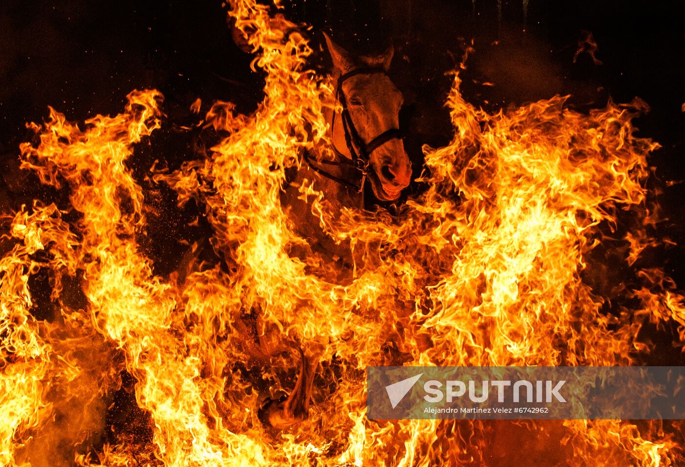 Spain Religion St Anthony Celebration