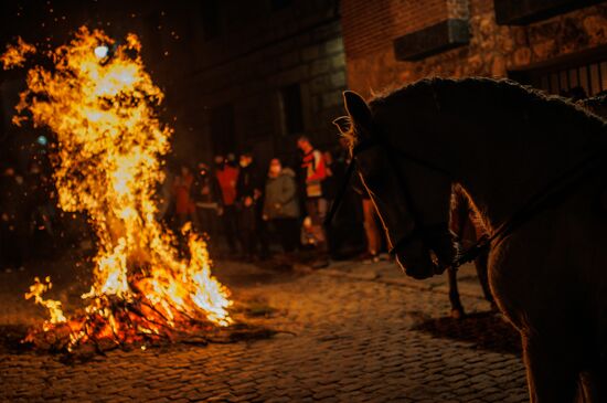 Spain Religion St Anthony Celebration