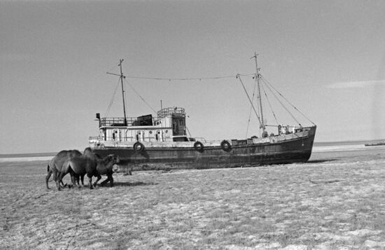 Aral Sea