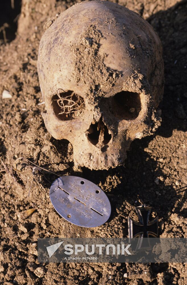 Search efforts in Crimea