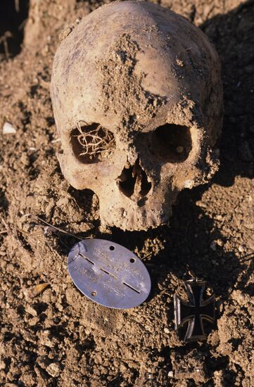 Search efforts in Crimea