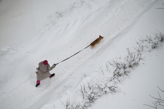 Russia Weather 