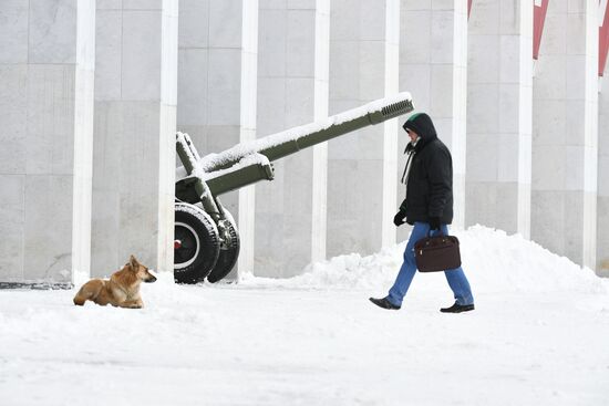 Russia Weather 