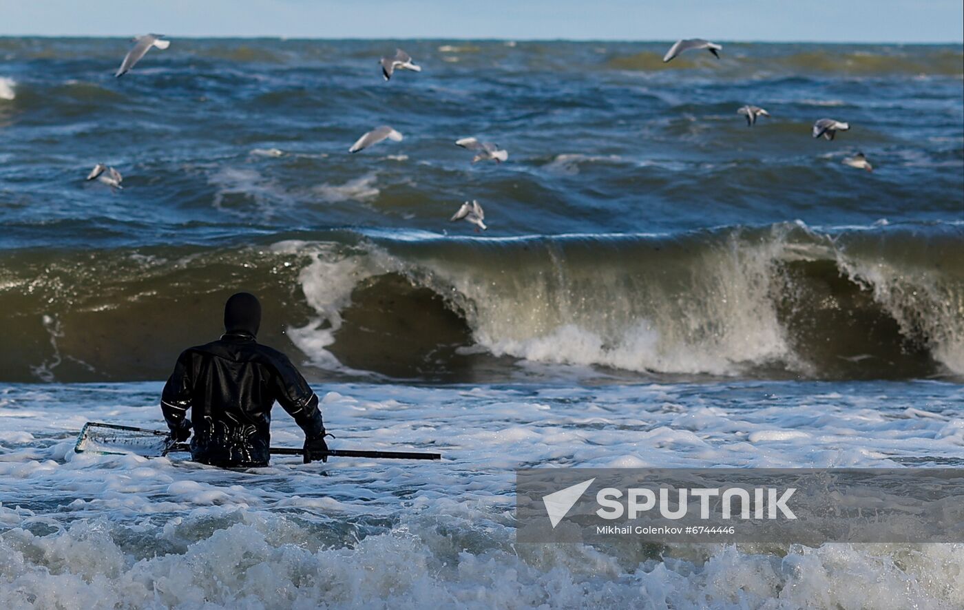 Russia Amber Hunting