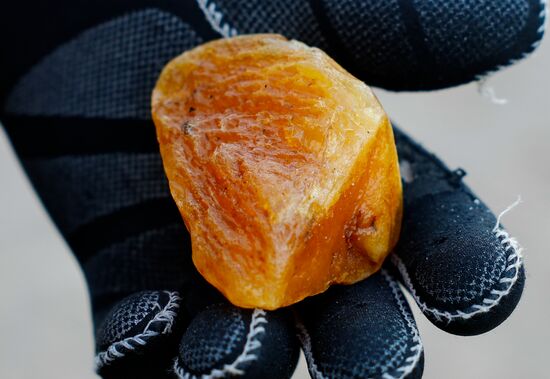 Russia Amber Hunting