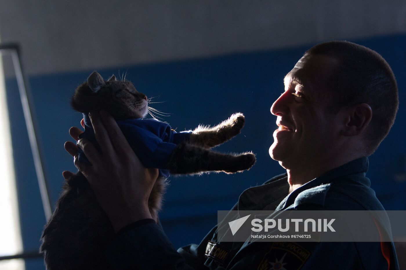 Russia Animals Fire Department Cat