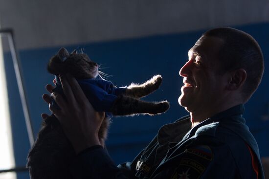 Russia Animals Fire Department Cat