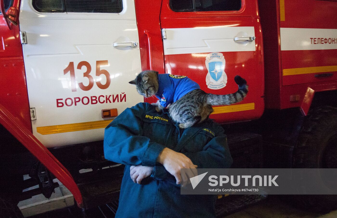 Russia Animals Fire Department Cat