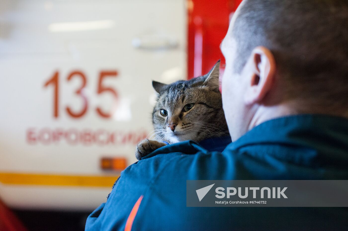 Russia Animals Fire Department Cat