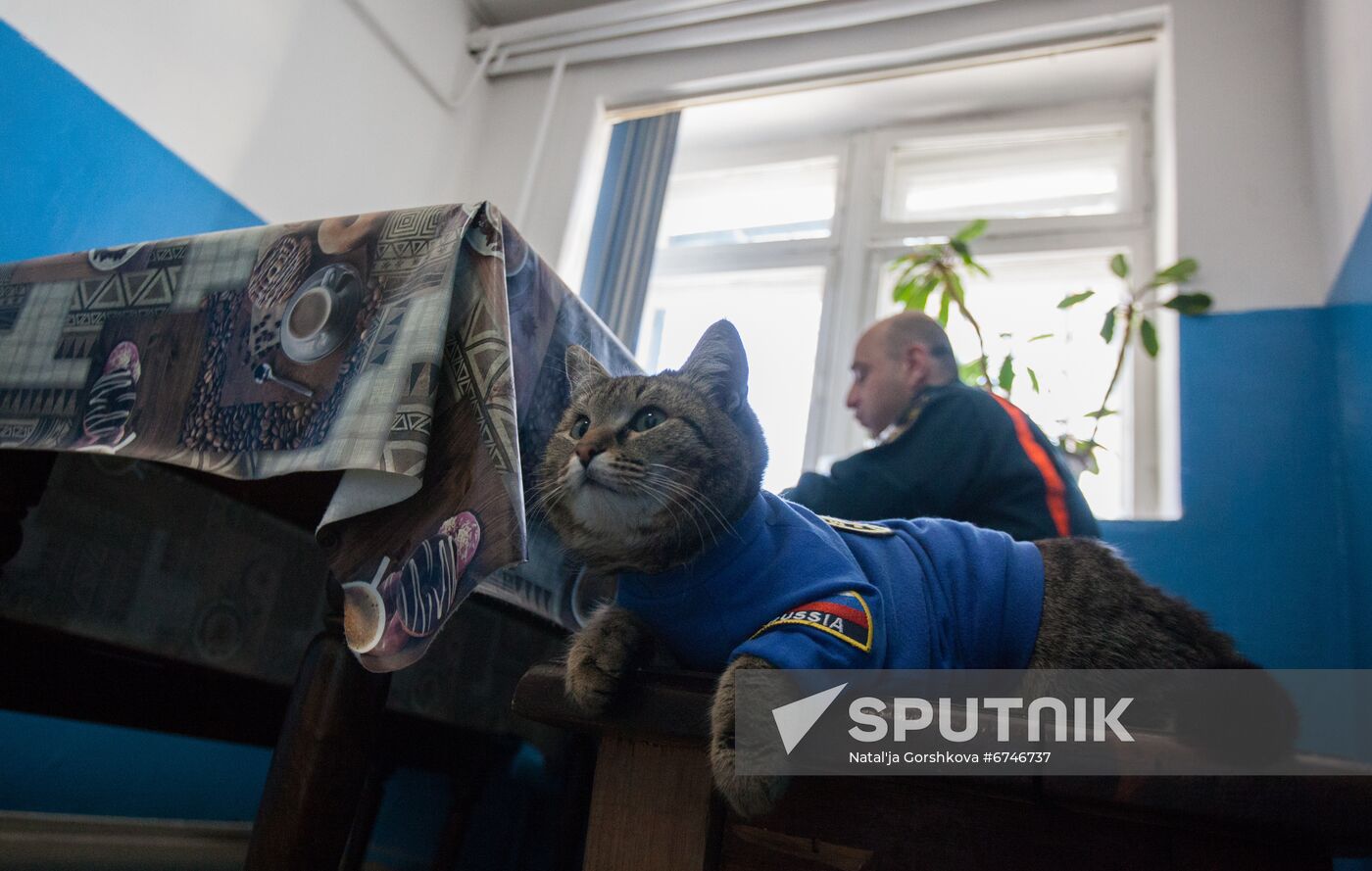 Russia Animals Fire Department Cat