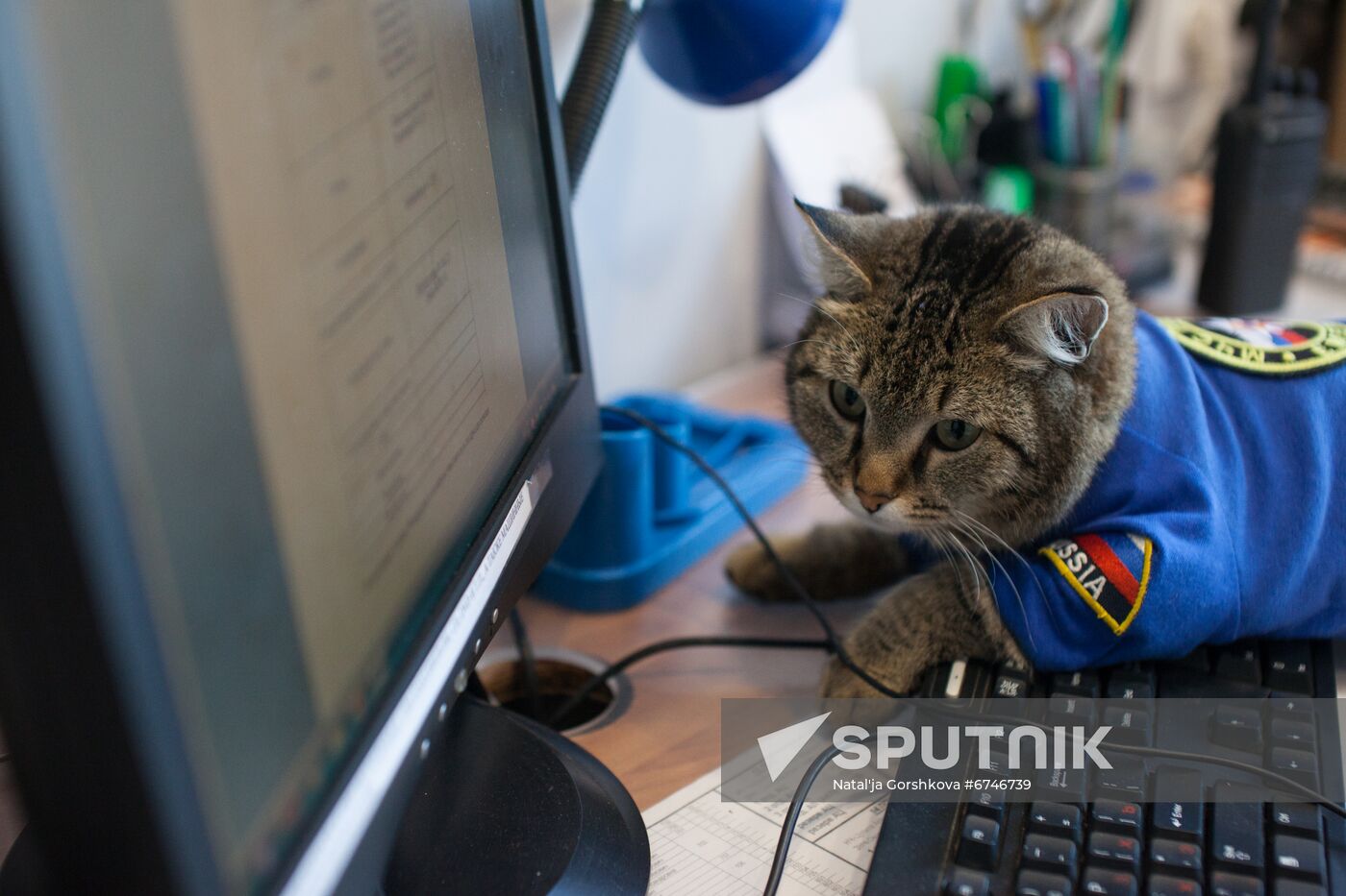Russia Animals Fire Department Cat