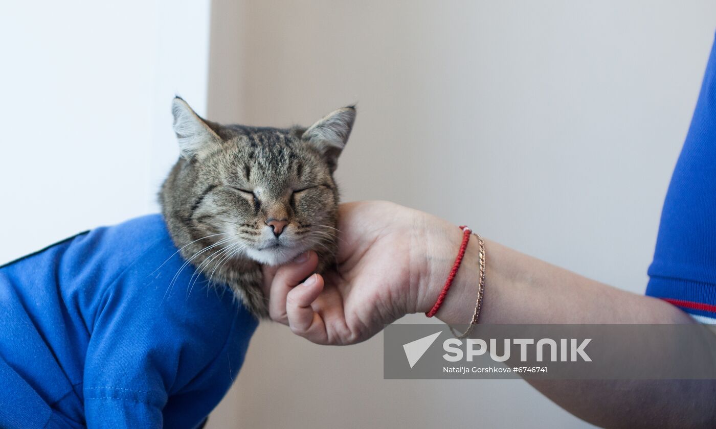 Russia Animals Fire Department Cat