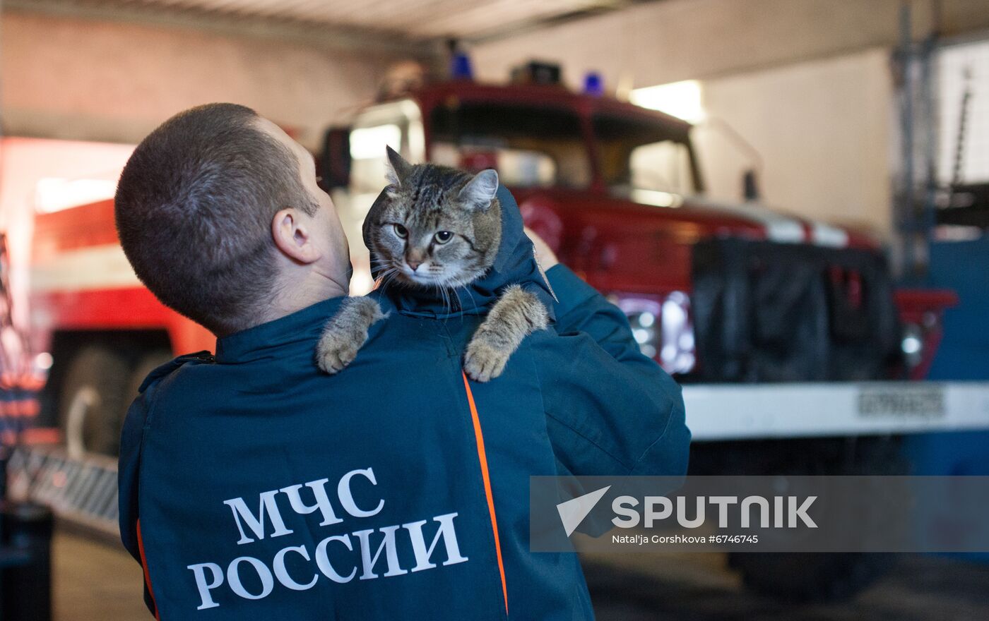 Russia Animals Fire Department Cat