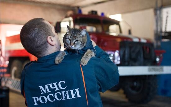 Russia Animals Fire Department Cat