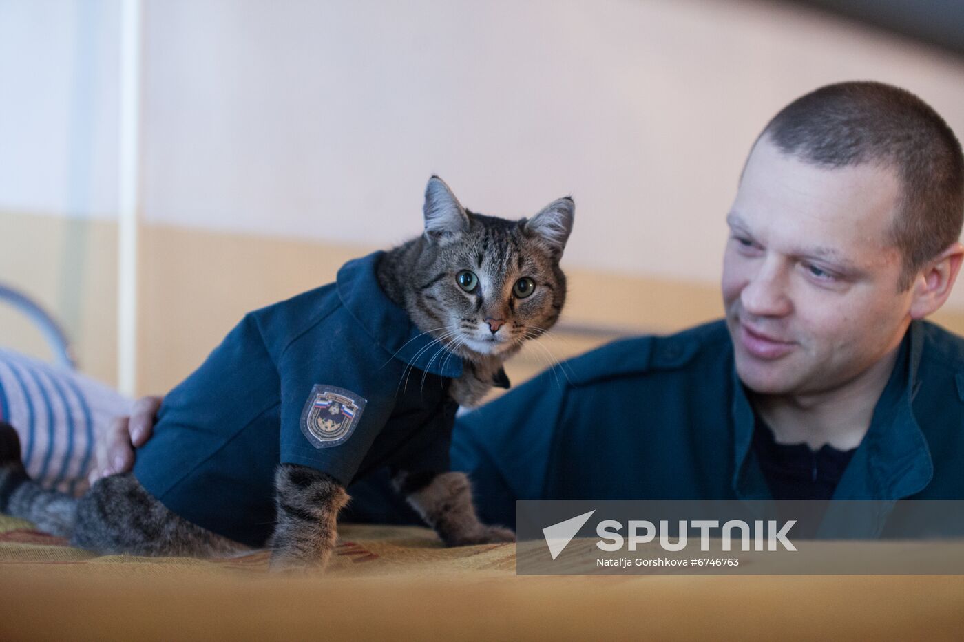 Russia Animals Fire Department Cat