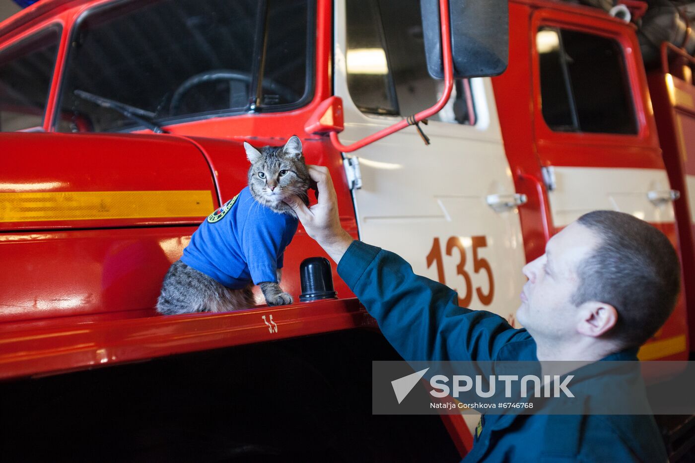 Russia Animals Fire Department Cat