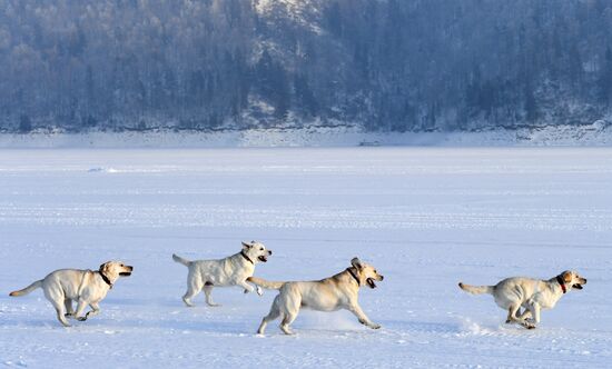 Russia Daily Life 