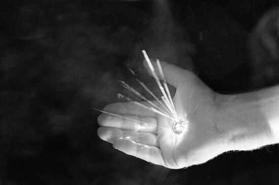 Pyotr Lebedev Physics Institute of USSR Academy of Sciences