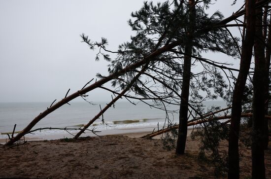 Russia Weather