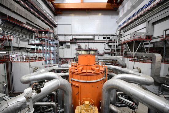 Russia Nuclear Industry