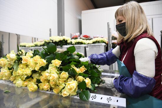 Russia Siberia Flowers