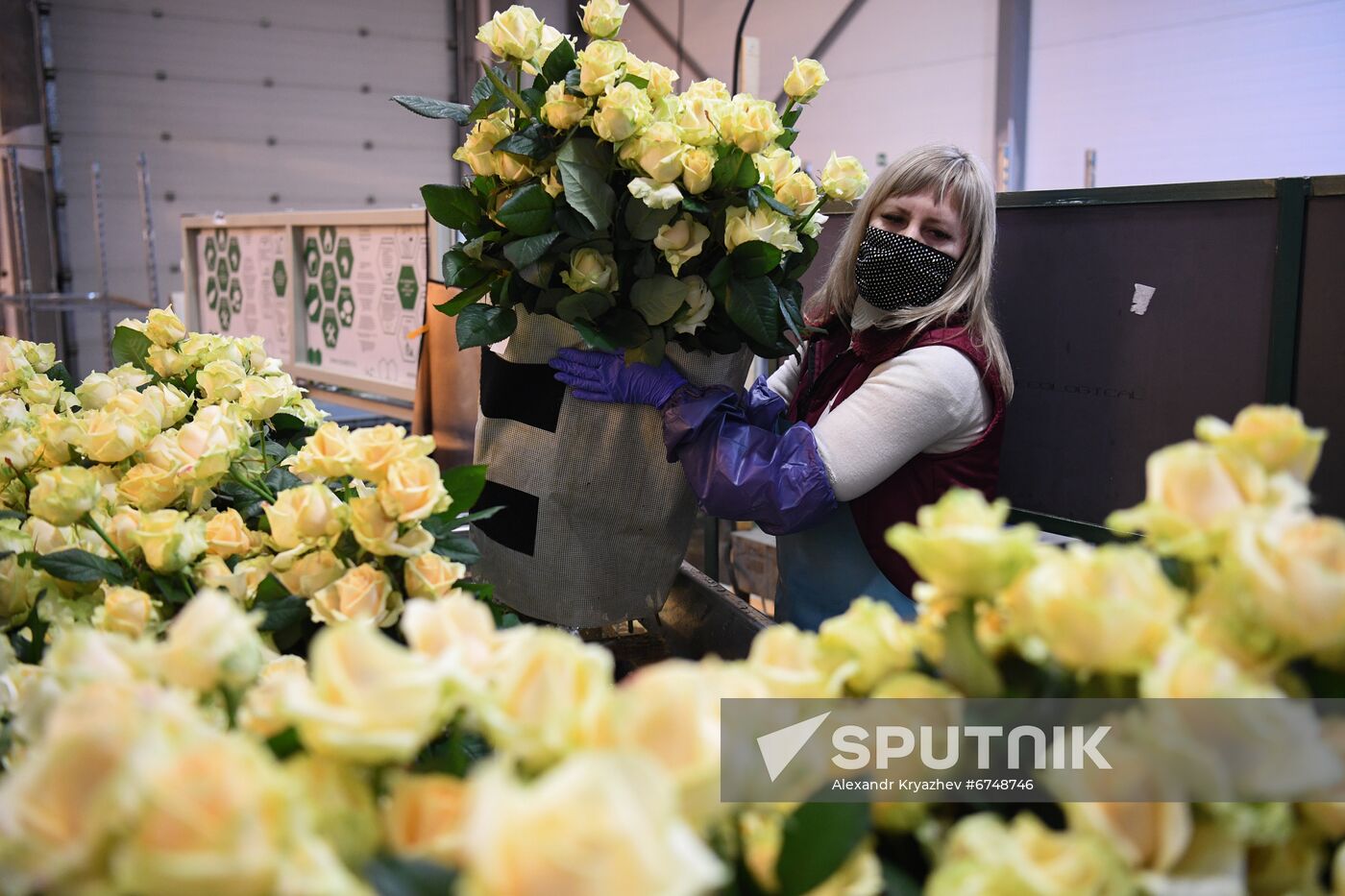 Russia Siberia Flowers
