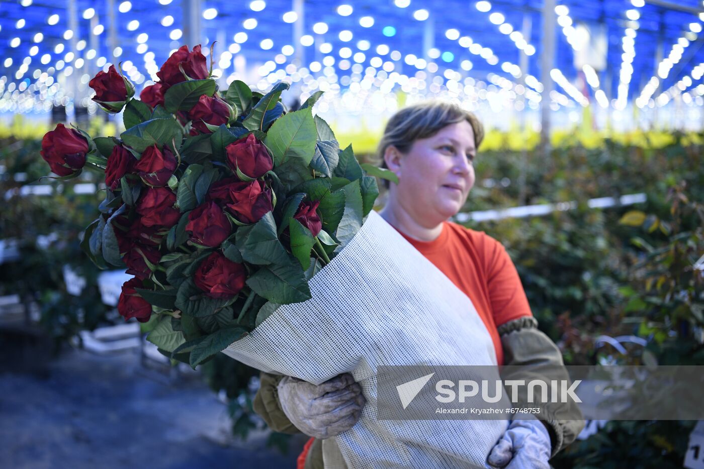 Russia Siberia Flowers