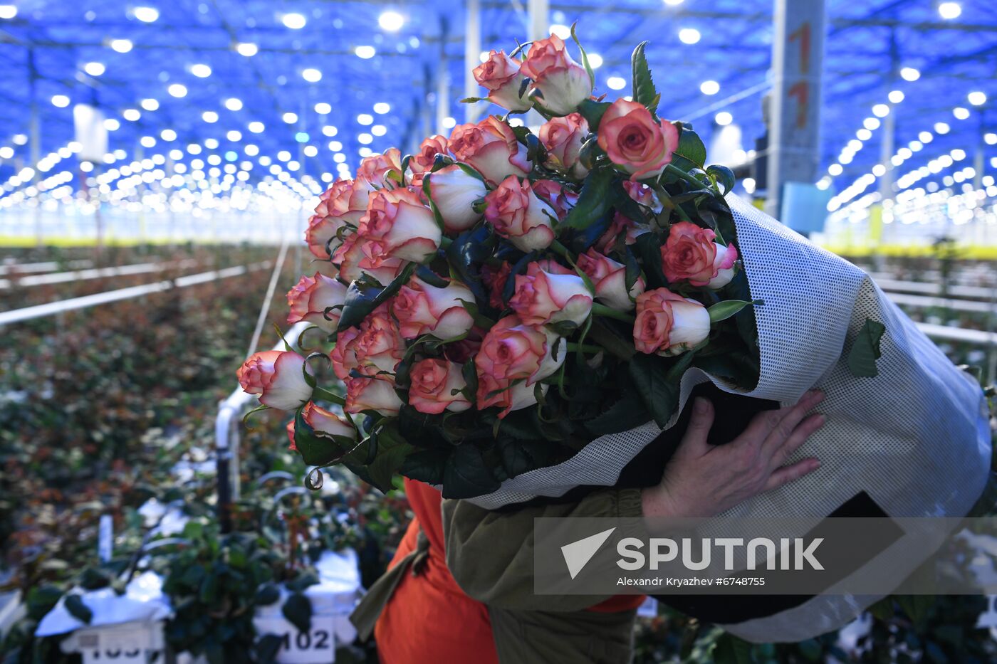 Russia Siberia Flowers