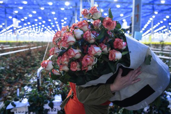 Russia Siberia Flowers